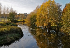 Rivière serpentant au pied de Montréal en Bourgogne.