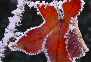 Givre