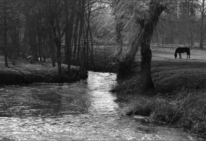 Vallée de la Bèze.